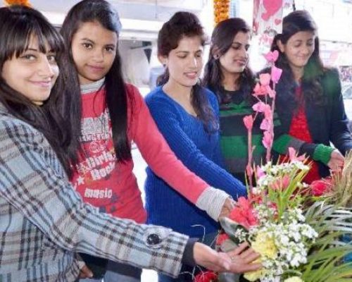 gallery-por0motx0fk7obqeqs1y3okl2ox66tq3xulxnuzvkw