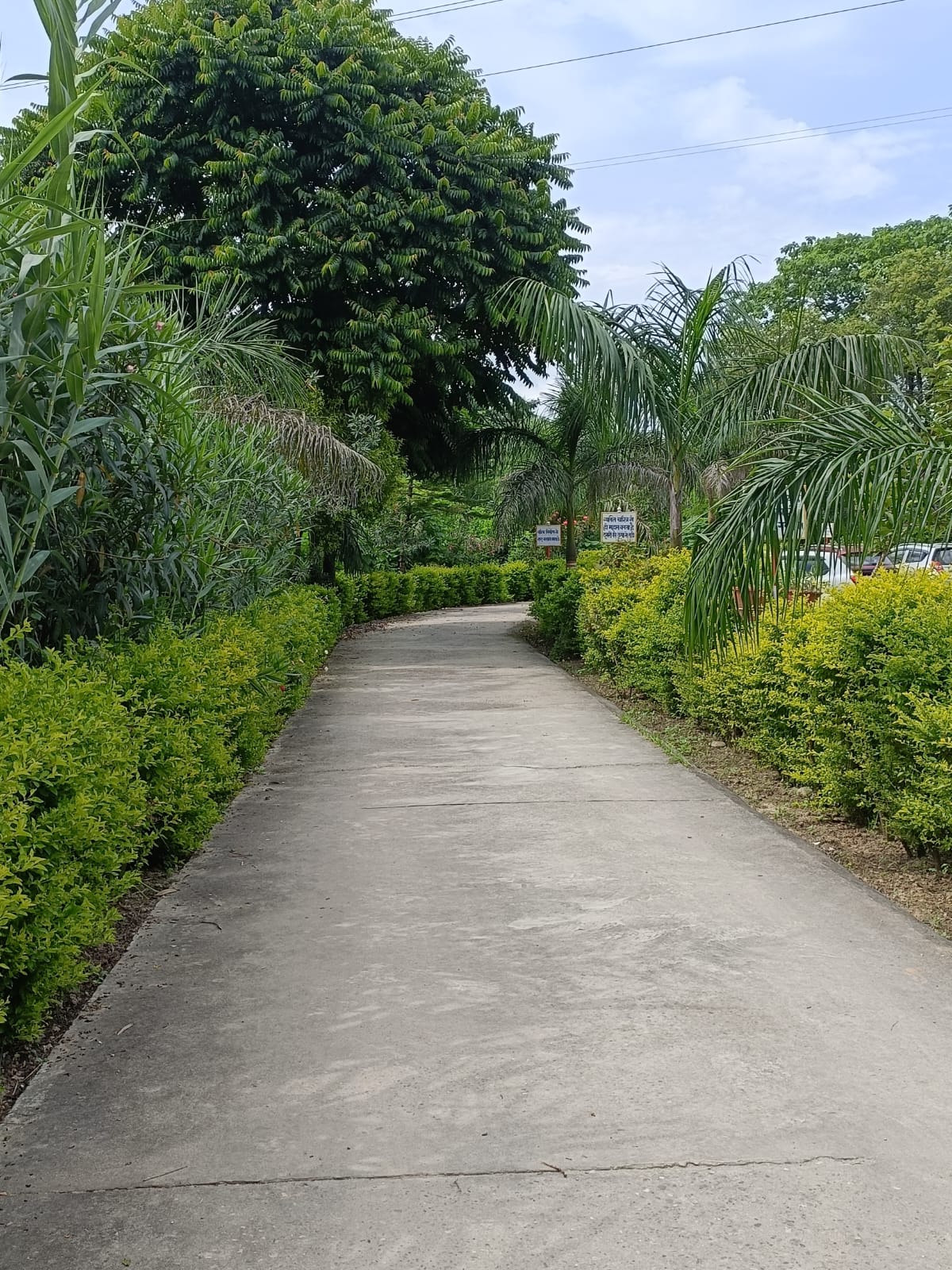 WhatsApp Image 2026-02-19 at 11.48.17 AM (1)