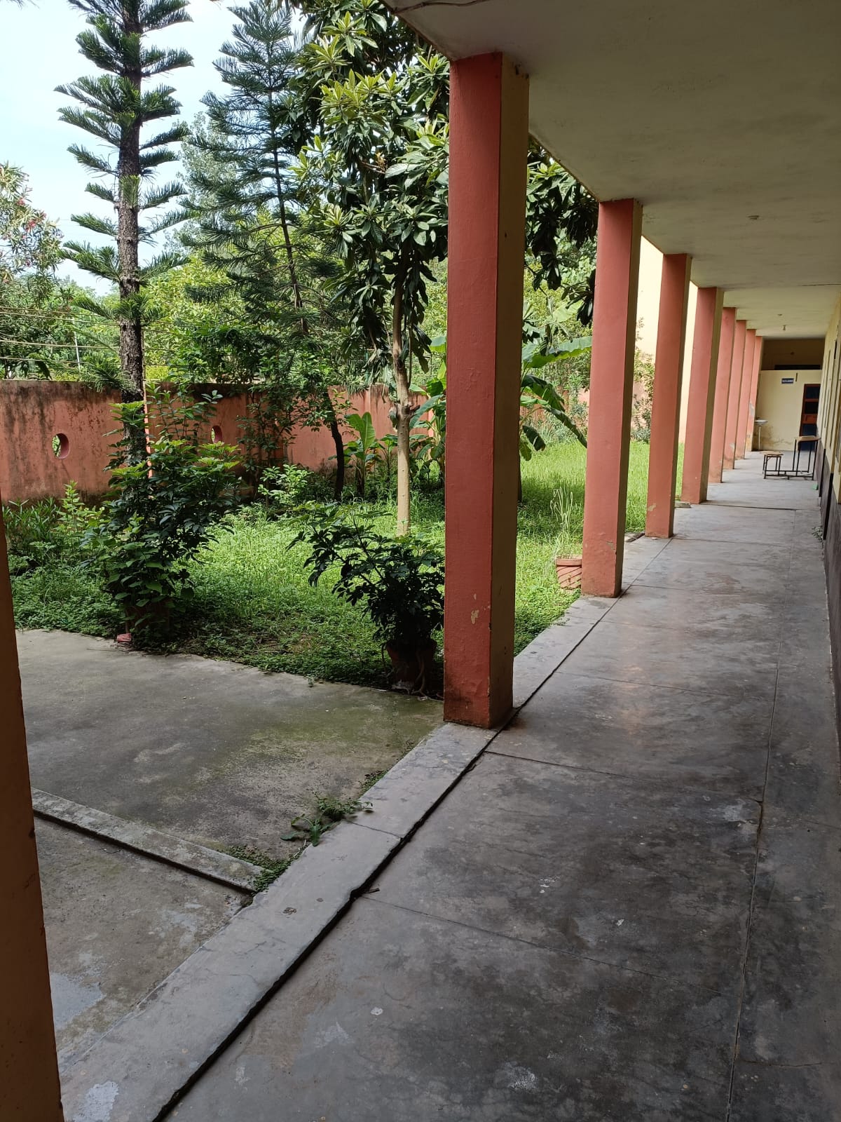 WhatsApp Image 2026-02-19 at 11.48.17 AM