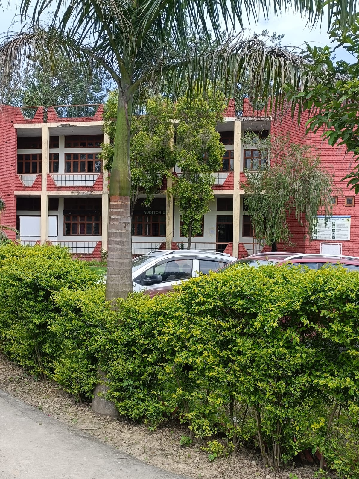 WhatsApp Image 2026-02-19 at 11.48.18 AM (1)