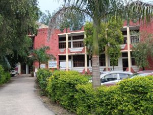 WhatsApp Image 2026-02-19 at 11.48.18 AM