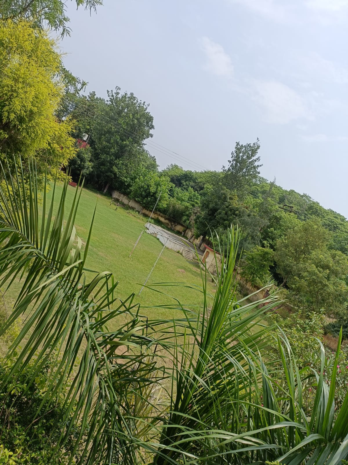 WhatsApp Image 2026-02-19 at 11.48.21 AM (2)