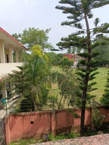 WhatsApp Image 2026-02-19 at 11.48.21 AM (3)