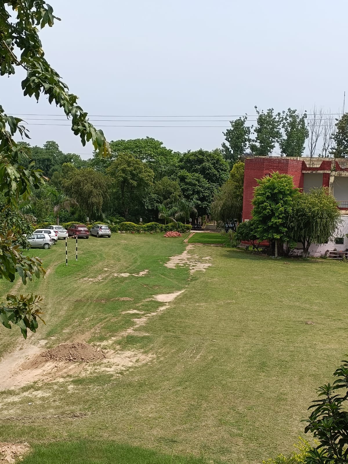 WhatsApp Image 2026-02-19 at 11.48.21 AM